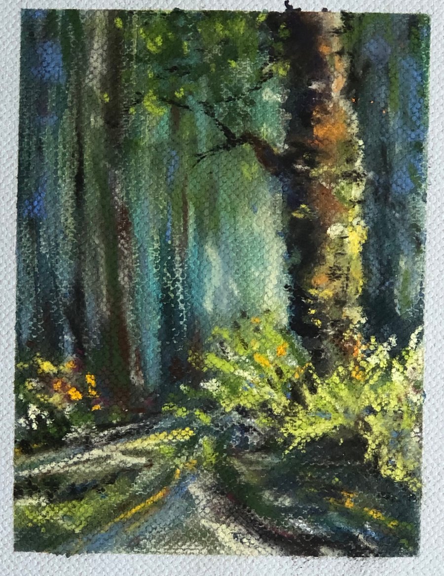 The heart of the forest 