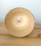 Ceramic green bulb or flower planter - Image 5