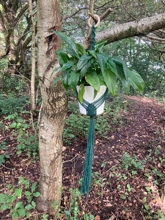 Forest green macrame plant hanger 