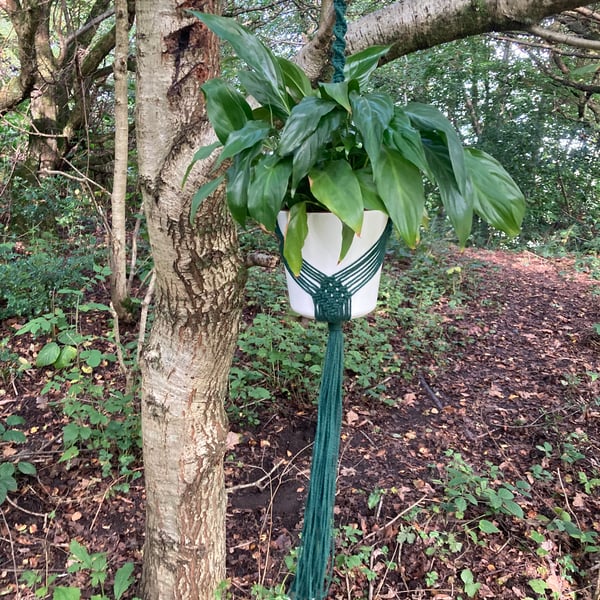 Forest green macrame plant hanger 