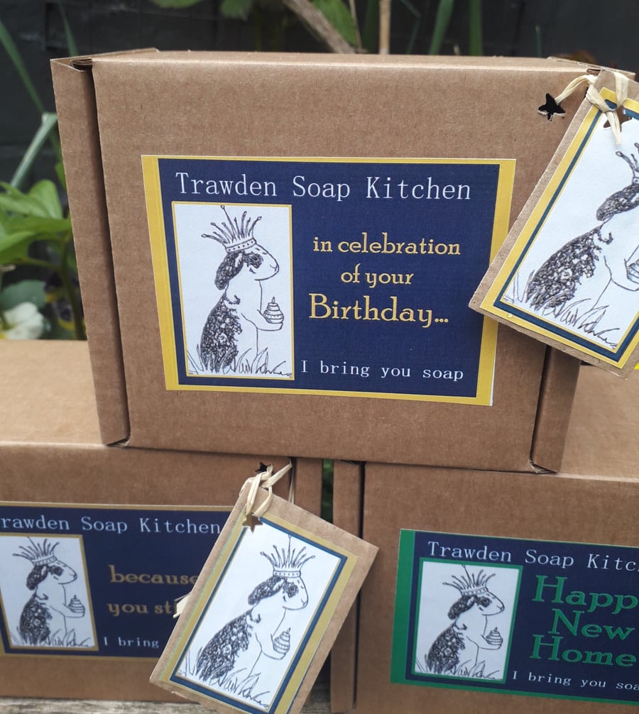 Any occasion,  aromatherapy soap set. Palm Free. Vegan. Plastic Free