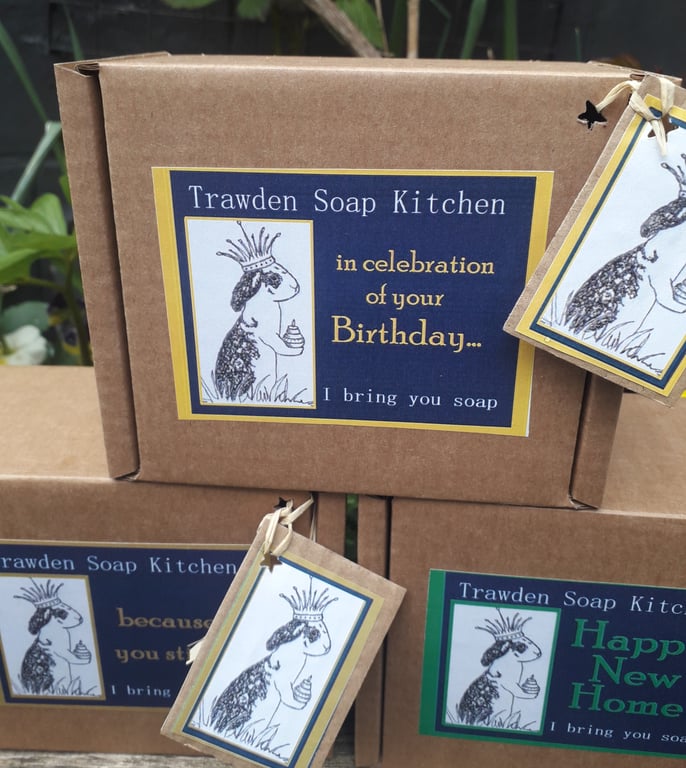 Any occasion,  aromatherapy soap set. Palm Free. Vegan. Plastic Free