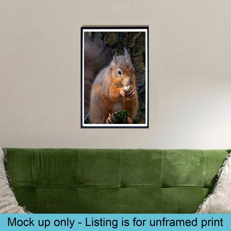 Red squirrel lunch print