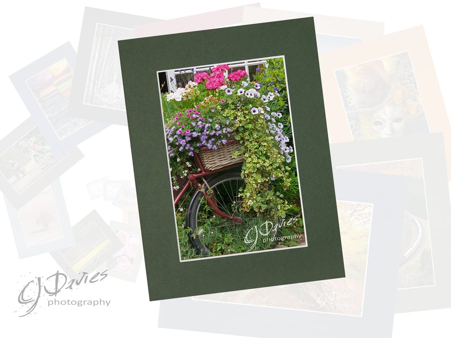 CJ192 - Left a little too long