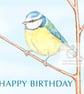 Blue Tit Birthday Card - Image 1