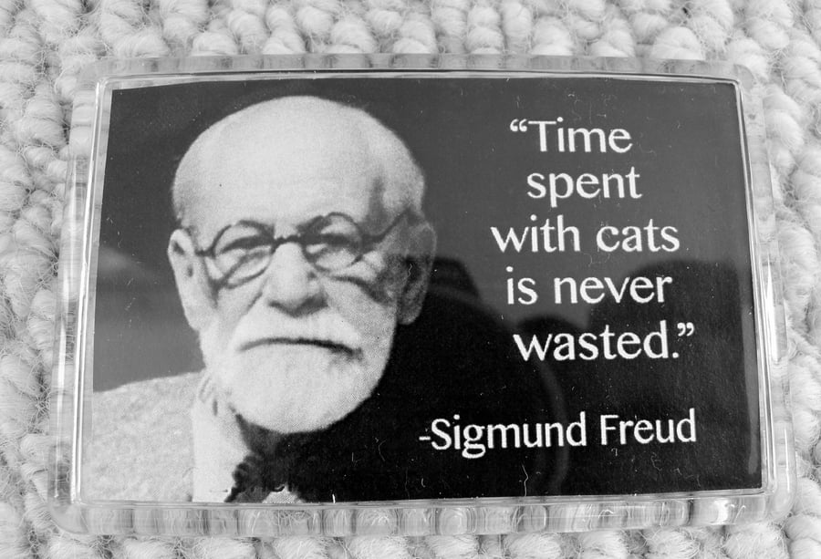 Time Spent With Cats Is Never Wasted Magnet