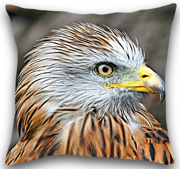 Red kite Cushion Red kite cushion cover