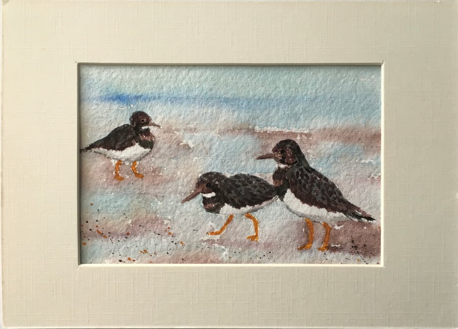 Turnstones painting 