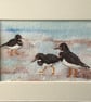 Turnstones painting  - Image 1
