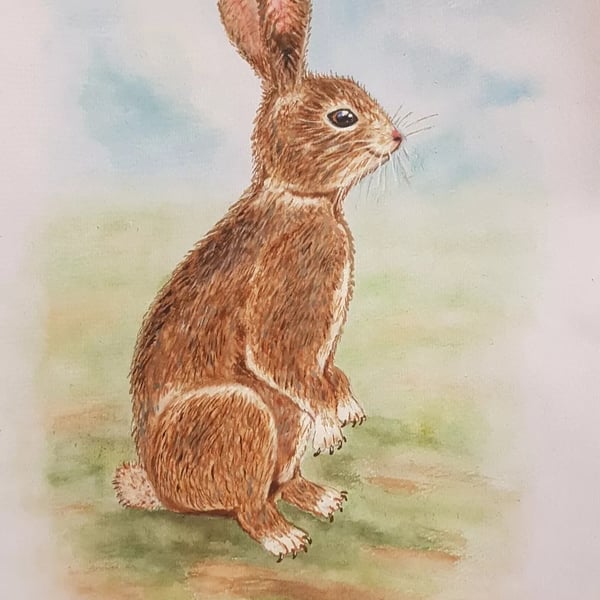 A Fine Day For A Hare - British Wildlife Art Print, Hand signed nostalgic art.