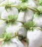 White Biodegradable Heart Confetti, Green Bags - Wedding Toss Eco Send Off Decor