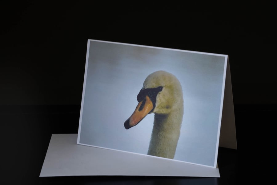 Swan - A6 Blank Eco Greetings Card