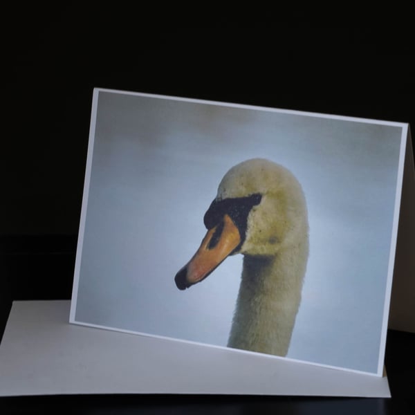 Swan - A6 Blank Eco Greetings Card