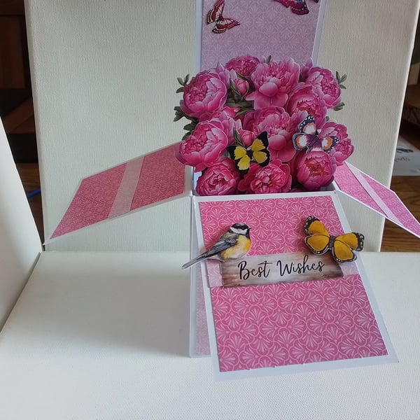 Birthday card. Pop up box card. Ref 500
