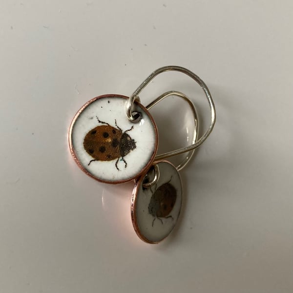 Ladybird enamel earrings