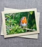 Robin Large Photographic Card 7" x 5" BLANK - Image 1