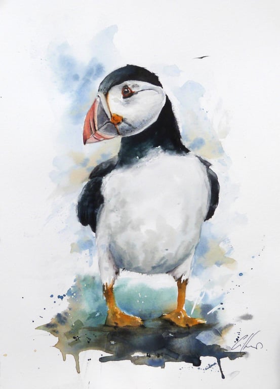 Puffin, Professional Giclée Print.