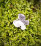 Butterfly silver pendant - Image 3