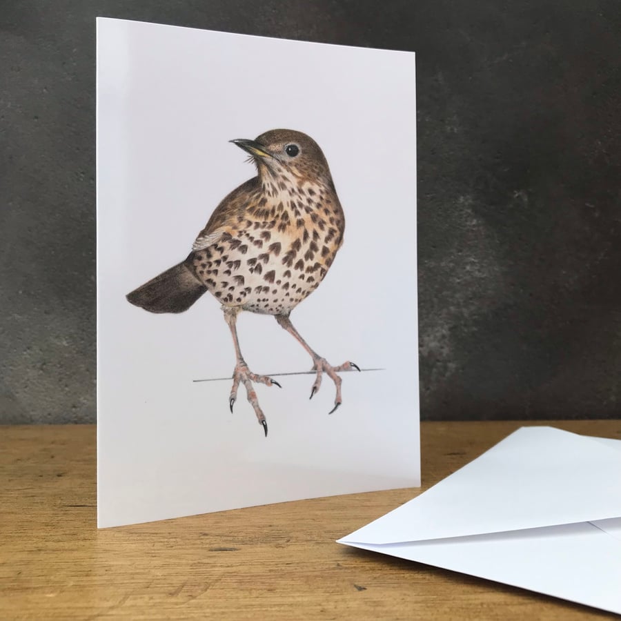 Song Thrush Card