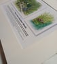 Original hand painted watercolour print of Clapham Woods with a short story. - Image 3