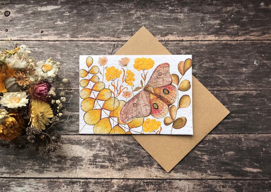 Plantable Seed Paper Birthday Card, Blank Inside,Moth greeting card,Moths