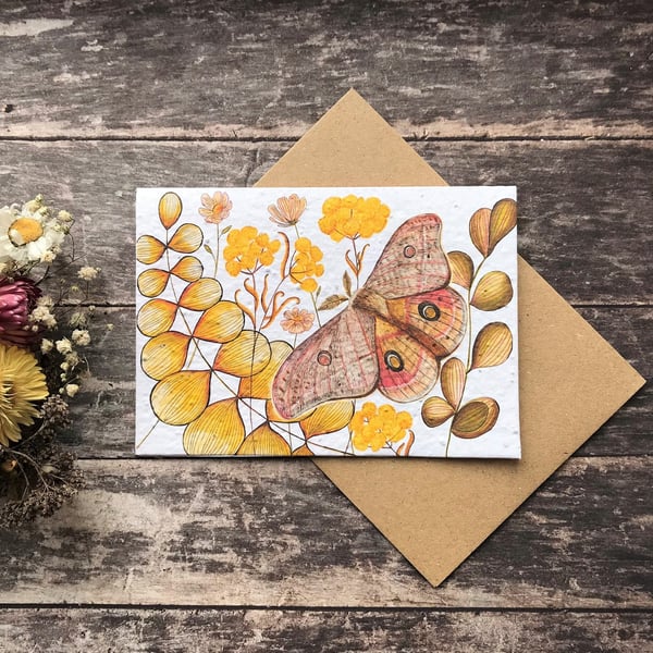 Plantable Seed Paper Birthday Card, Blank Inside,Moth greeting card,Moths