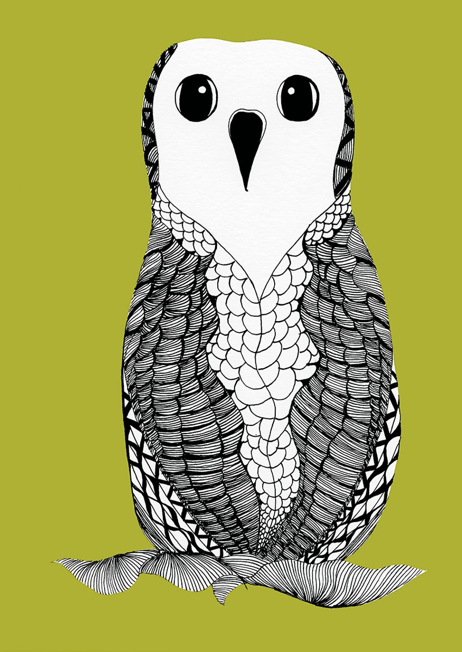 Owl on Olive Green background