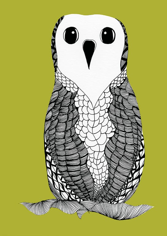 Owl on Olive Green background