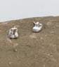 Mini hag stone studs  - Image 2