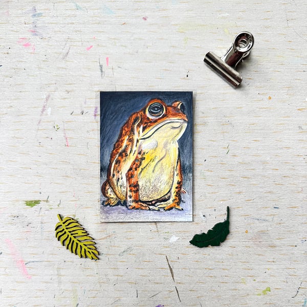 American Toad Miniature Original ACEO painting - One of a kind