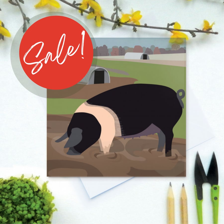 SALE Saddleback Pig Card - Farm, animal, birthday