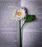 Oxeye Daisy Crochet Bookmark  - Image 5