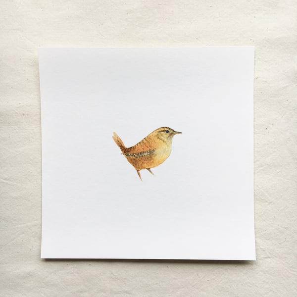 Watercolour wren giclée print