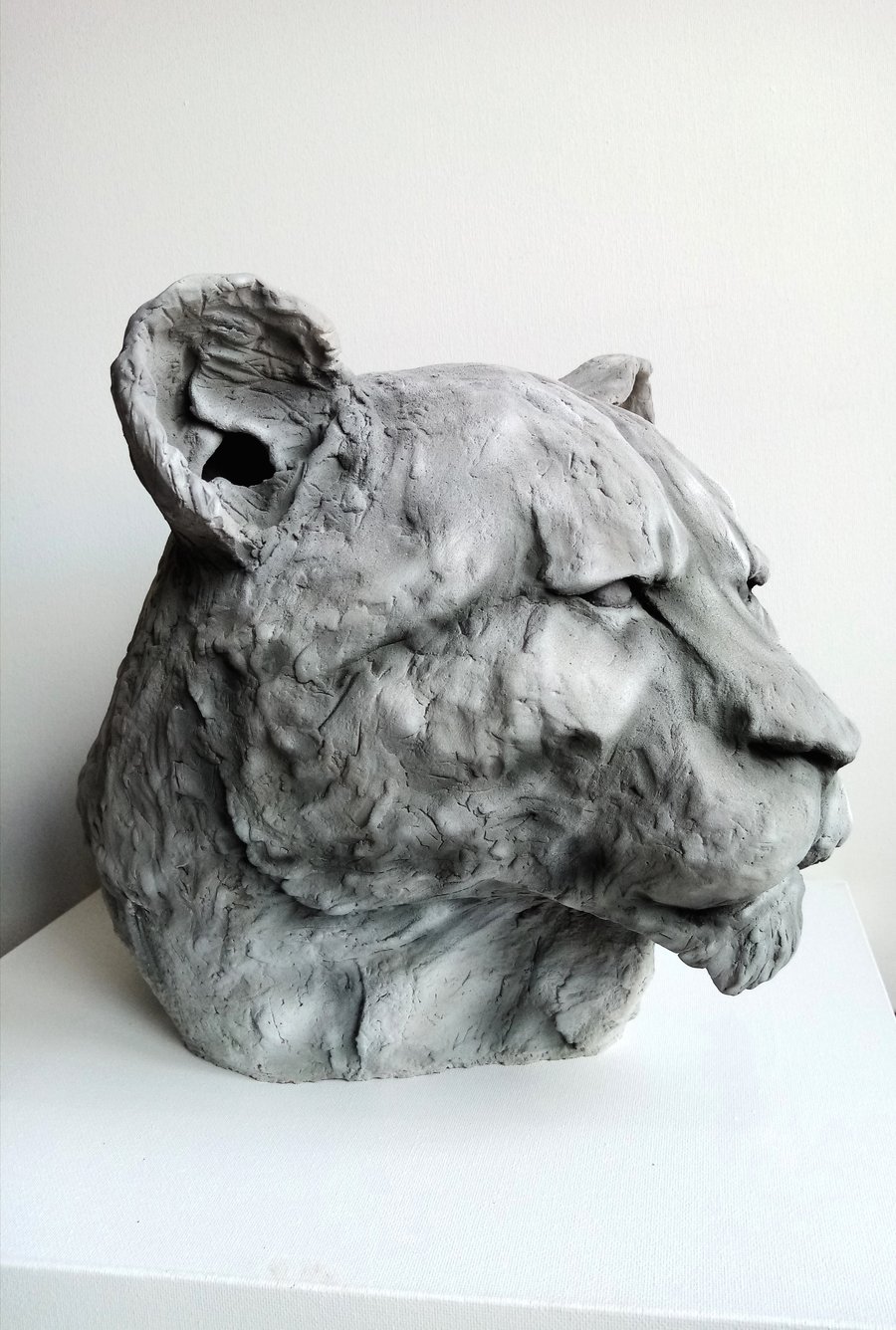 Lioness sculpture 