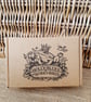 Three Handmade Froglets in a Gift Box - Friendship Gift - Frog Lover Present - Image 3