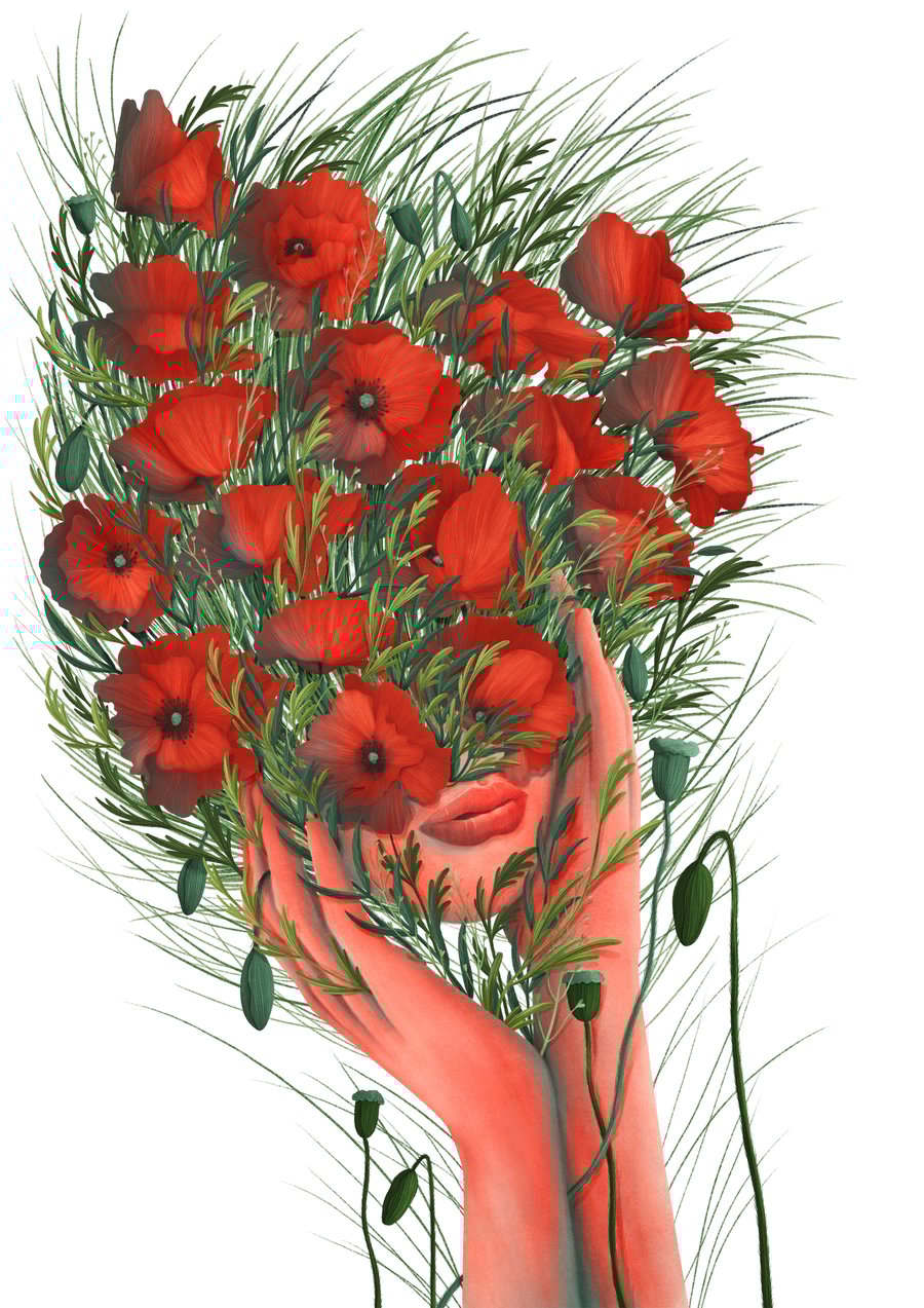 Poppies - Giclee Floral Illustration - Summer Flowers Art Print