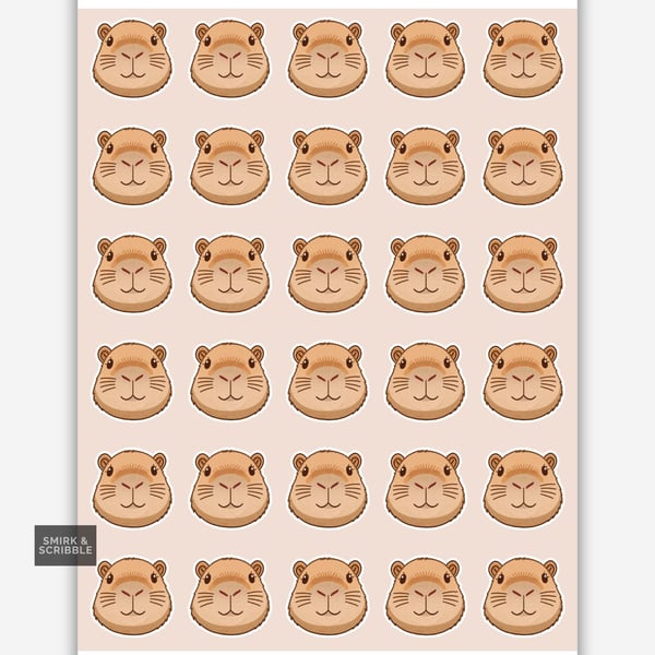 Funny Vinyl Sticker Sheet For Adults - Capybara Face 