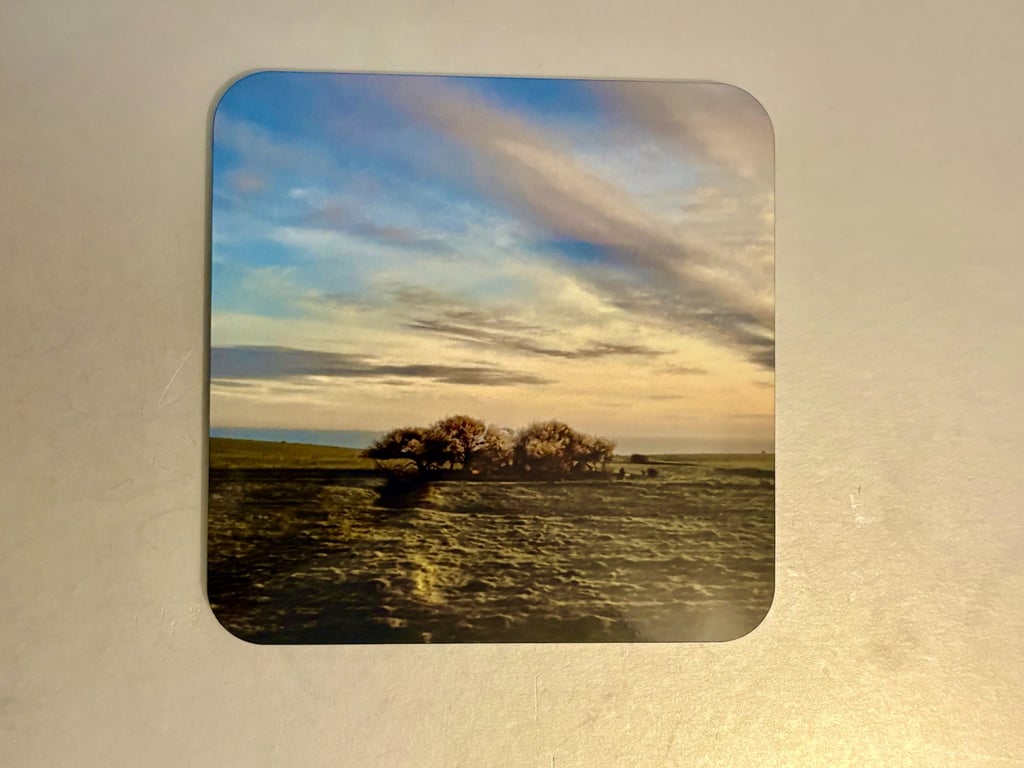 Roots of Solitude 9.5cm cork backed coaster 