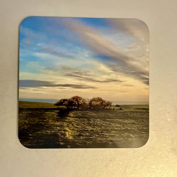 Roots of Solitude 9.5cm cork backed coaster 