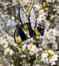 Stained Glass bee decoration- cute bumblebee gift