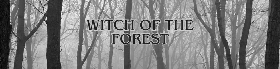 Witch Of The Forest