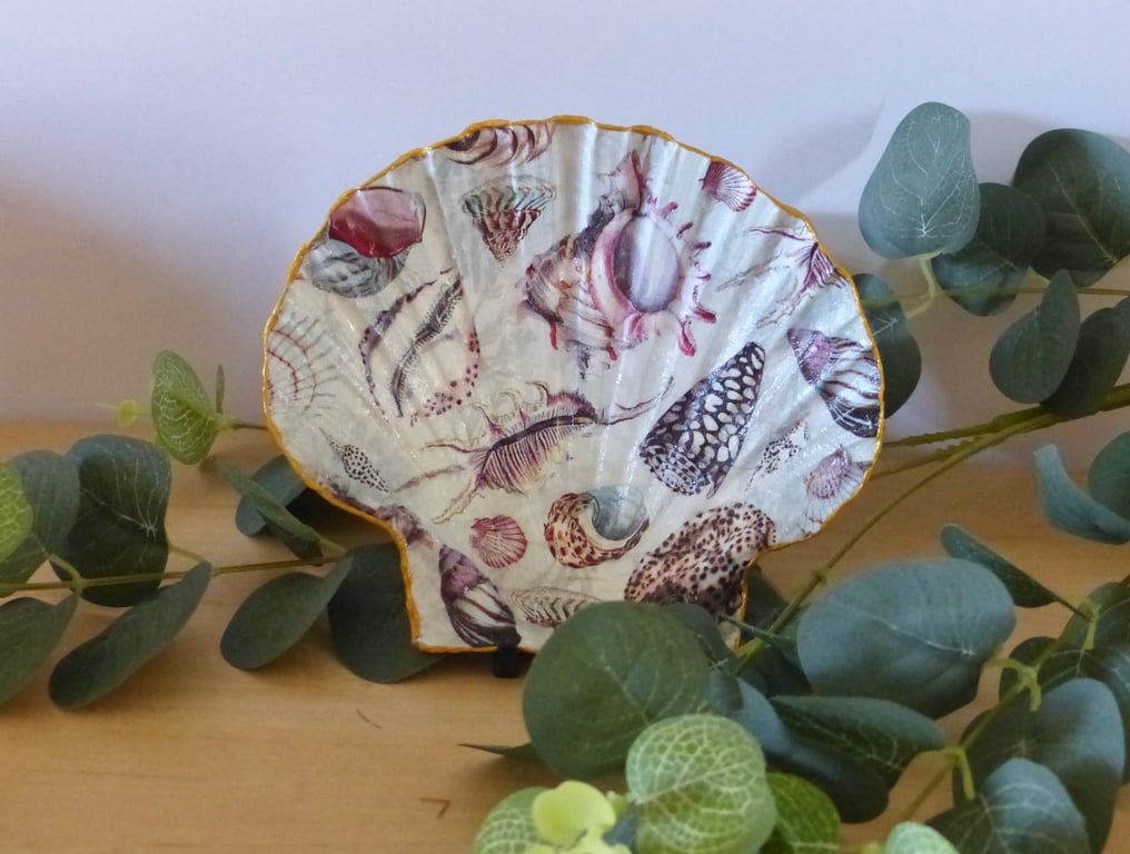 Scallop Shell Trinket Dsh