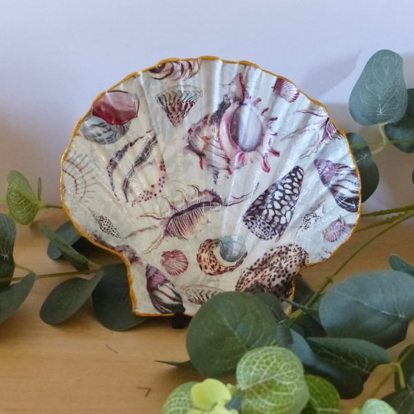 Scallop Shell Trinket Dsh