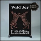 Wild Joy … Nature Wisdom (Hares)