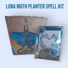 Luna Moth Planter and Spell Kit 