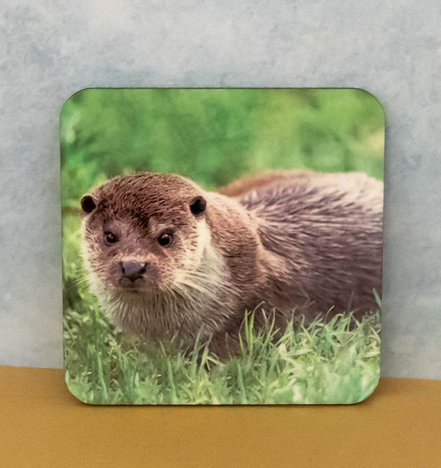 Otter Coaster