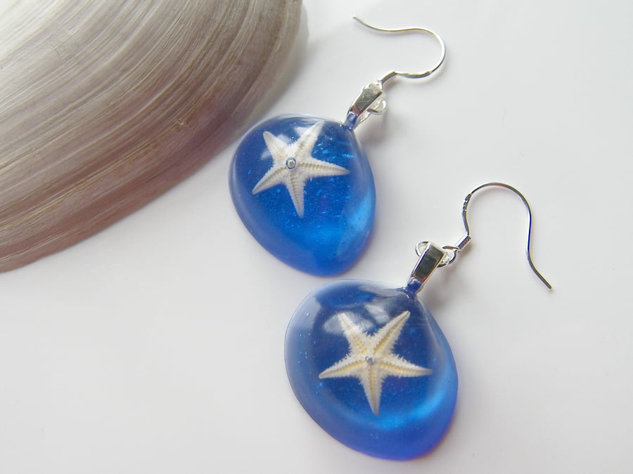 Real Starfish Blue Earrings - STARFISH