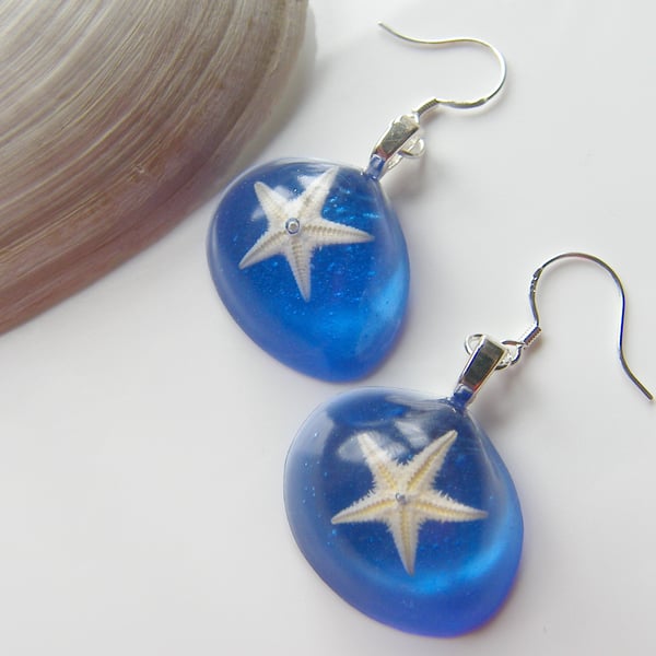 Real Starfish Blue Earrings - STARFISH