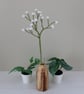 Gypsophila flower, single stem macrame, textile forever flower - Image 2