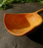  Sycamore Scoop - Image 2